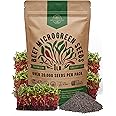 Organo Republic Beet Sprouting & Microgreens Seeds - 20,000 Non GMO Heirloom Seeds, Sprouts in Bulk 1lb Resealable Bag for Planting and Growing in Soil, Coconut Coir, Aeroponic & Hydroponic System