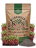 Organo Republic Beet Sprouting & Microgreens Seeds