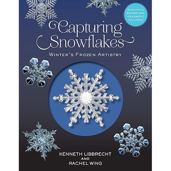 The Art of the flake: 雪の結晶・フォトアルバム 96,641 Snowflake Stock Photos, High-Res Pictures, and Images