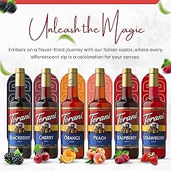 Jimoco Syrup Pump & Torani Syrup Bundle - Fruit