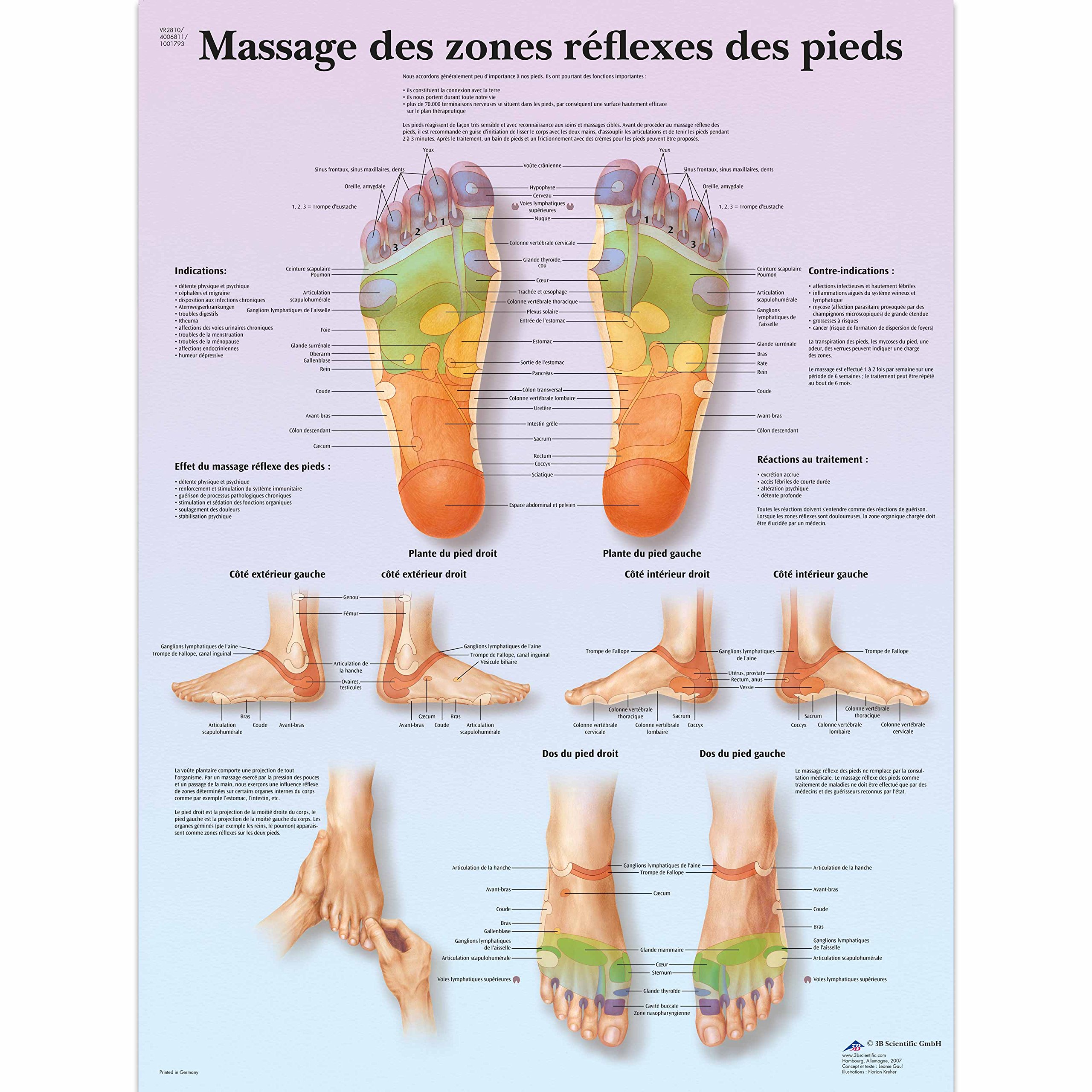 3B Scientific VR2810L "Massage des zones réflexes" Anatomical Board — image 1