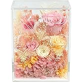 Valley of Rain & Forest Long-Lasting Real Flowers, Handcrafted Preserved Rose Bush For you to Send Love for All Occasions, Floral Arrangement for Indoor Decoration (Pink Rose)