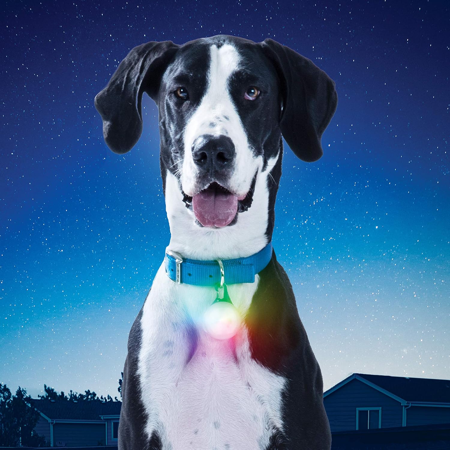Nite Ize Spotlit XL LED Collar Light, Carabiner Clip Dog Light, USB Rechargeable, Disc-O Select Color-Changing Light : Pet Supplies