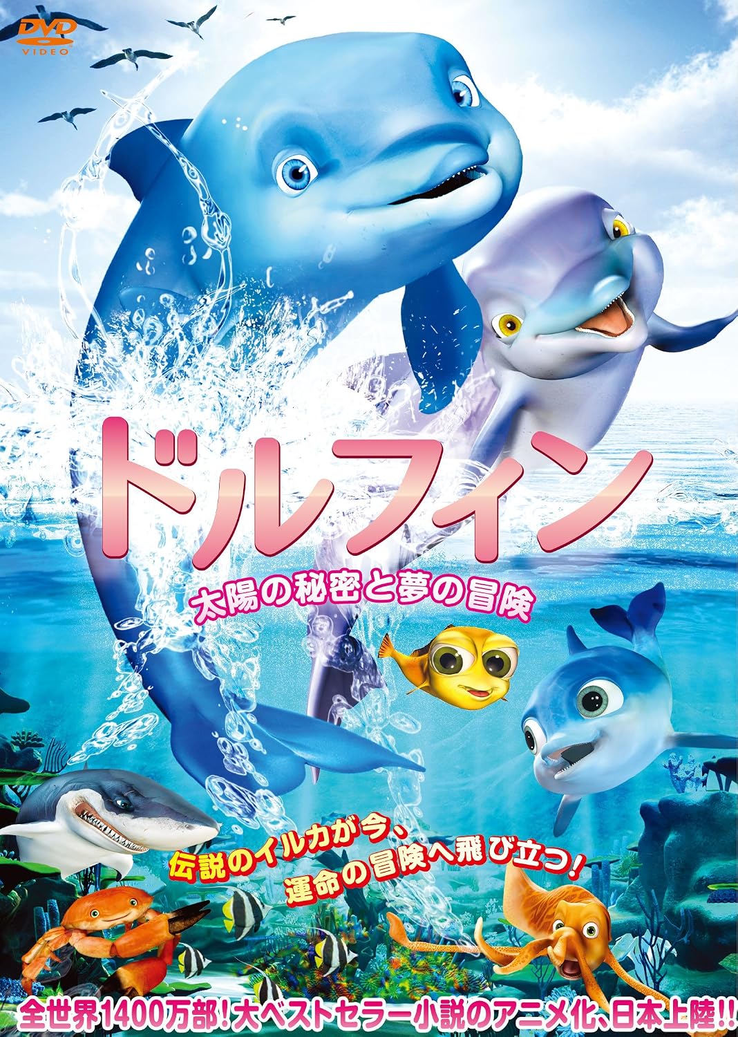 The Dolphin Story Of A Dreamer