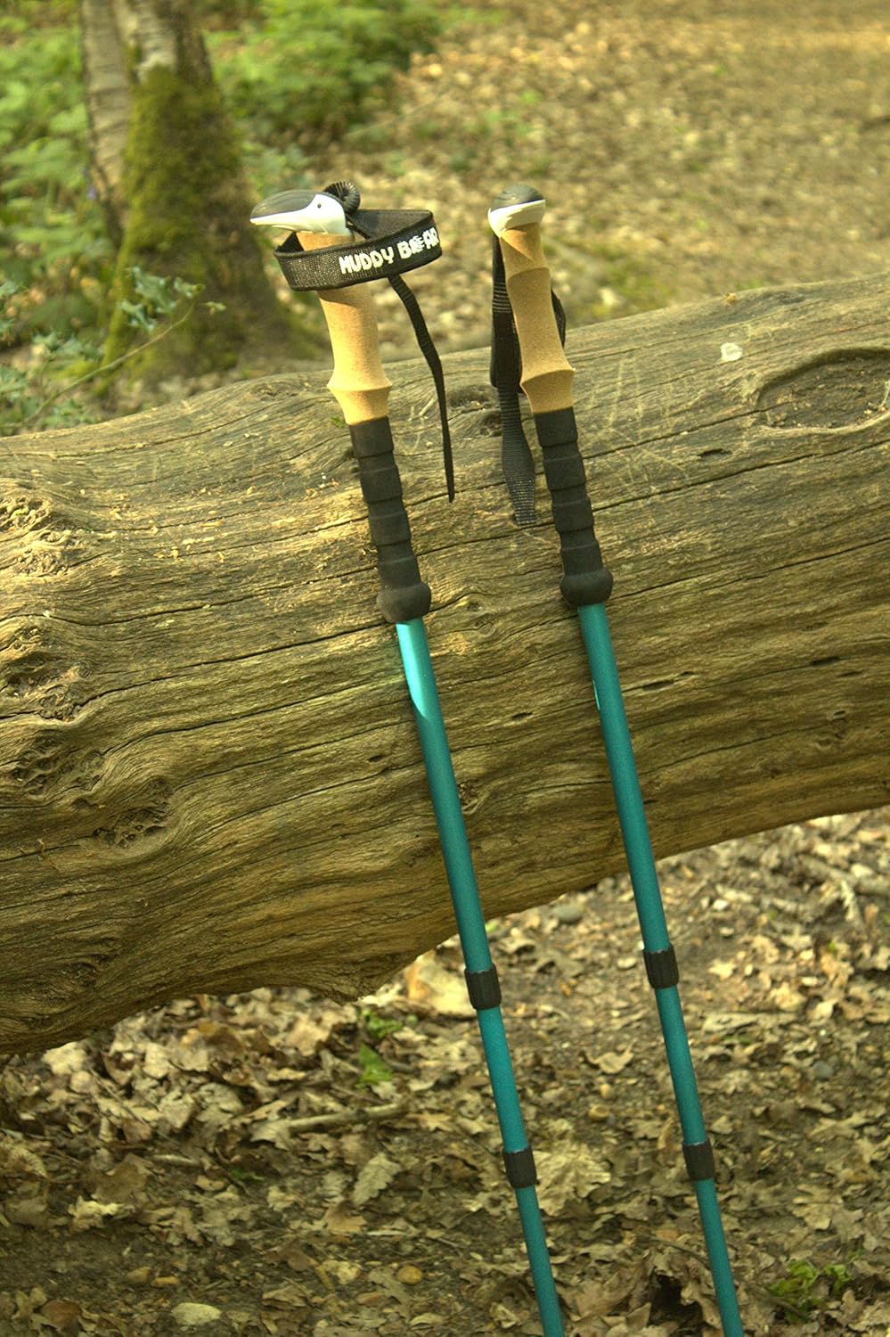 muddy bear trekking pole