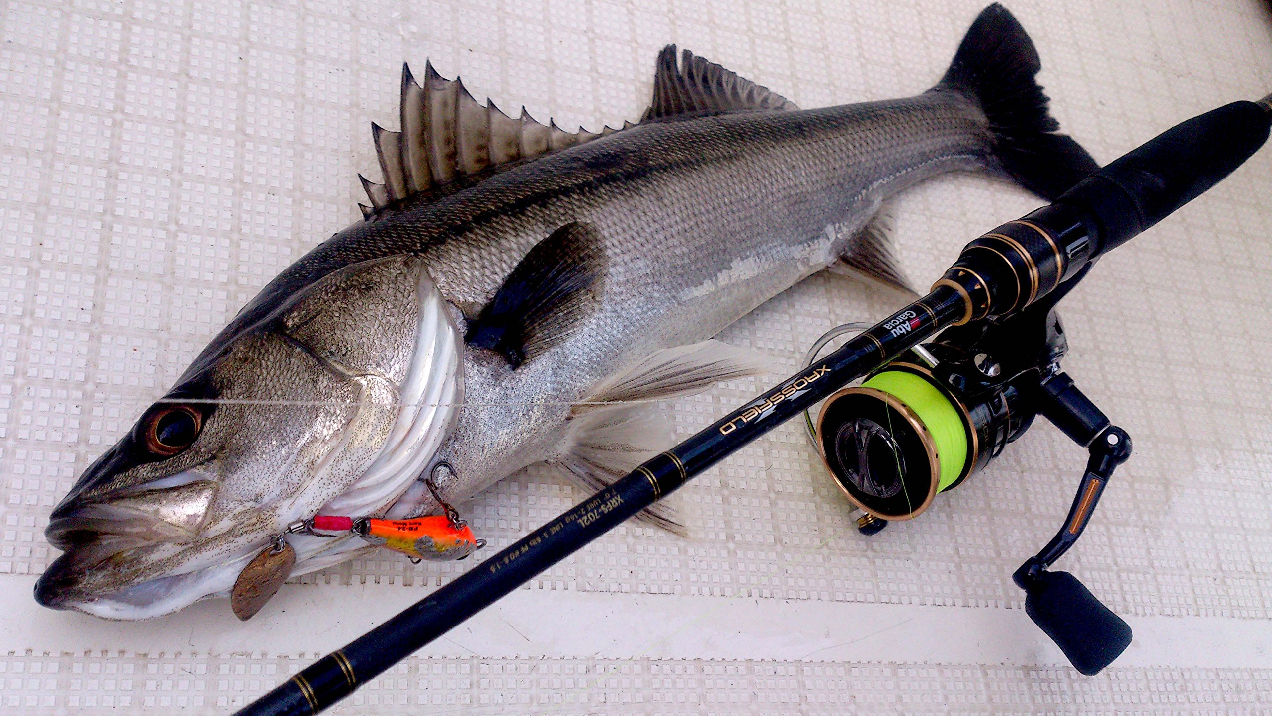 Mua アブガルシア Abu Garcia フレッシュ ソルトウォーターロッド スピニング クロスフィールド Tren Amazon Nhật Chinh Hang 21 Fado