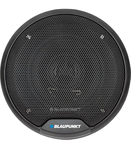 Amazon.com: BLAUPUNKT BPS-E552 5