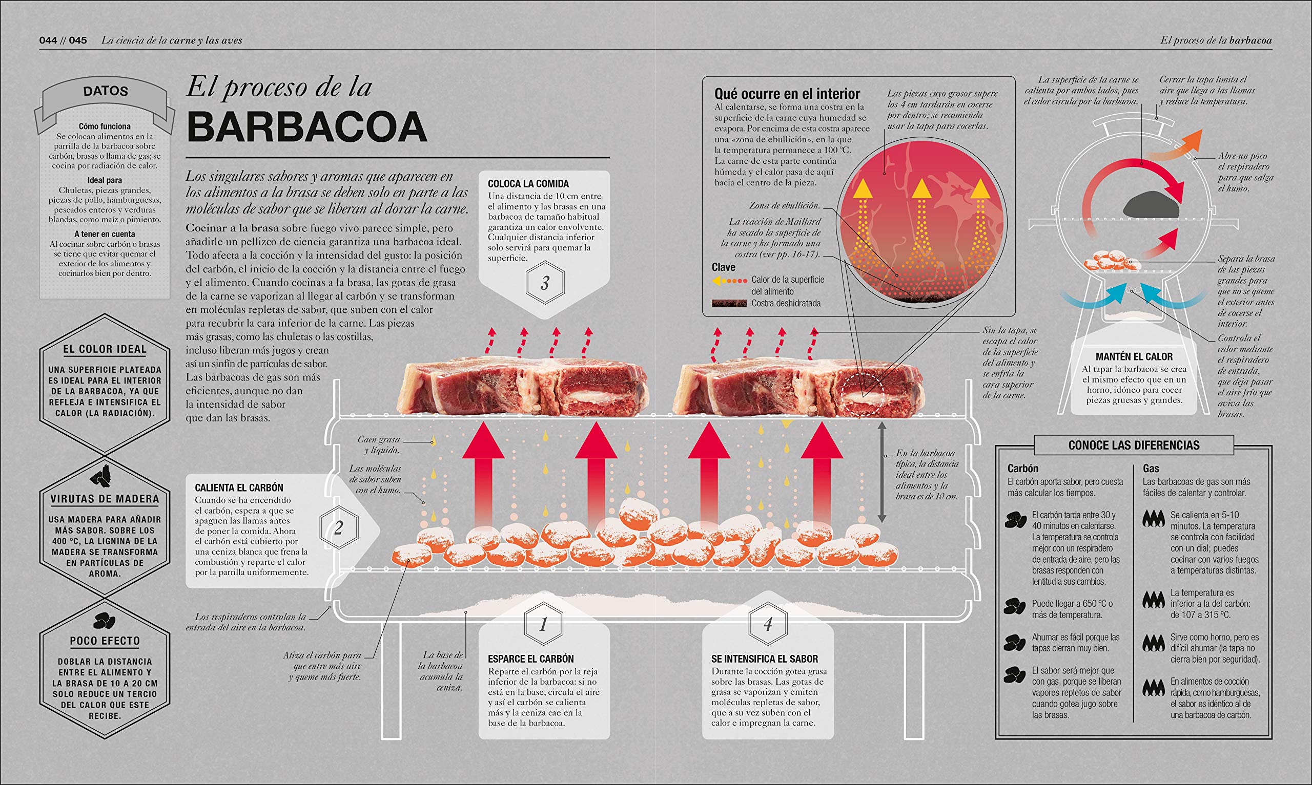 Cocinología (The Science of Cooking): La ciencia de cocinar (Spanish Edition) Cocinología (The Science of Cooking): La ciencia de cocinar (Spanish Edition) Cocinología (The Science of Cooking): La ciencia de cocinar (Spanish Edition) Hardcover Kindle