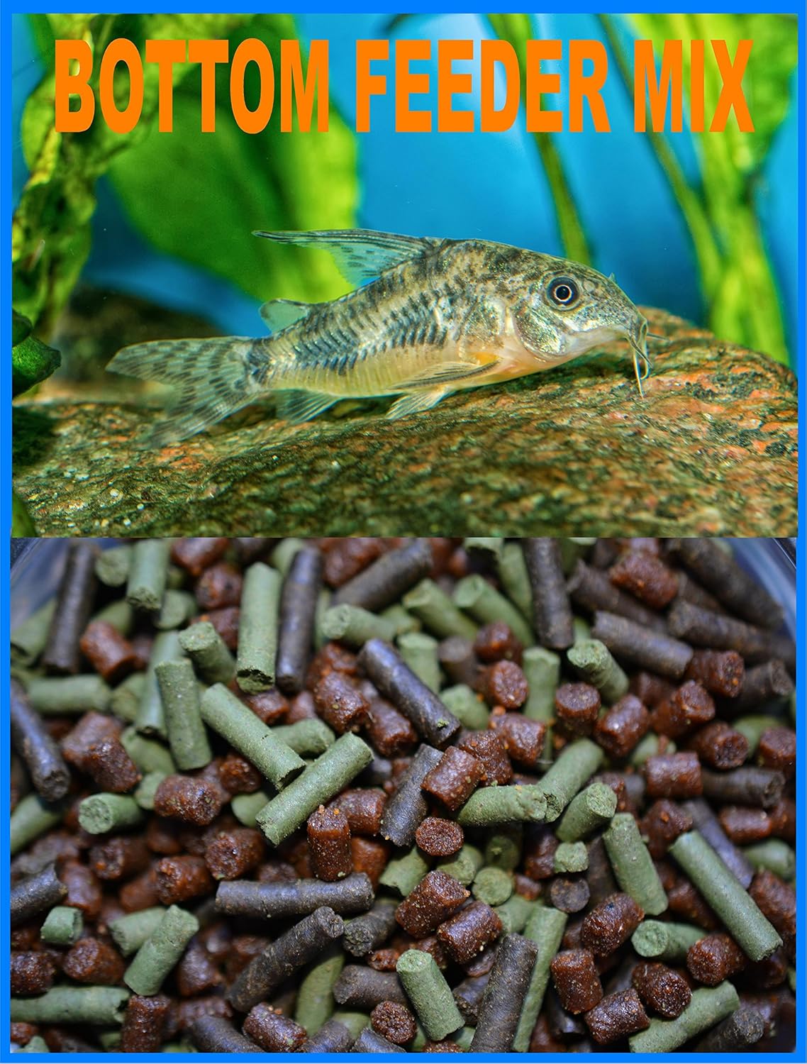 Amazon Com Aquaticblendedfoods Abf Bottom Feeder Super Mix 3