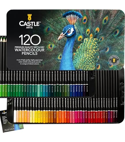 Amazon.com: Caran D'Ache Prismalo Aquarelle - Lápiz soluble en