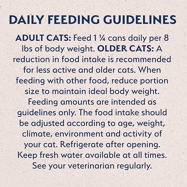 NATURAL BALANCE LIMITED INGREDIENT ADULT GRAIN-FREE WET CANNED CAT FOOD, DUCK & GREEN PEA RECIPE, 5.5 OUNCE (PACK OF 24)