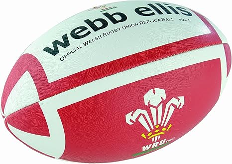 Webb ellis rugby ball Clearance