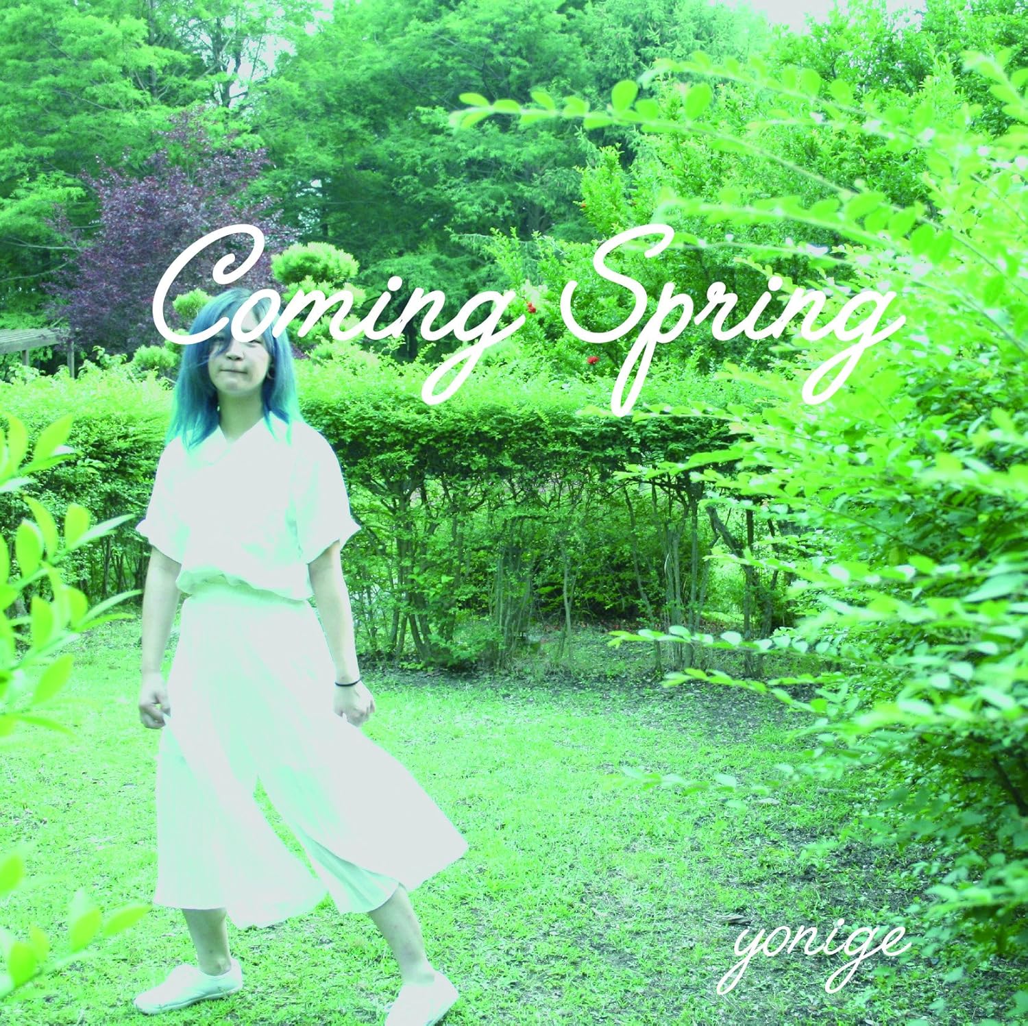 Yonige Coming Spring Japan Cd Sit 1001 Amazon Com Music