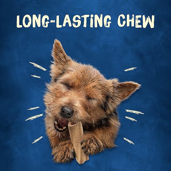 BUSY PURINA BUSY MADE IN USA FACILITIES SMALL BREED DOG BONES, MINI – 12 CT. POUCH