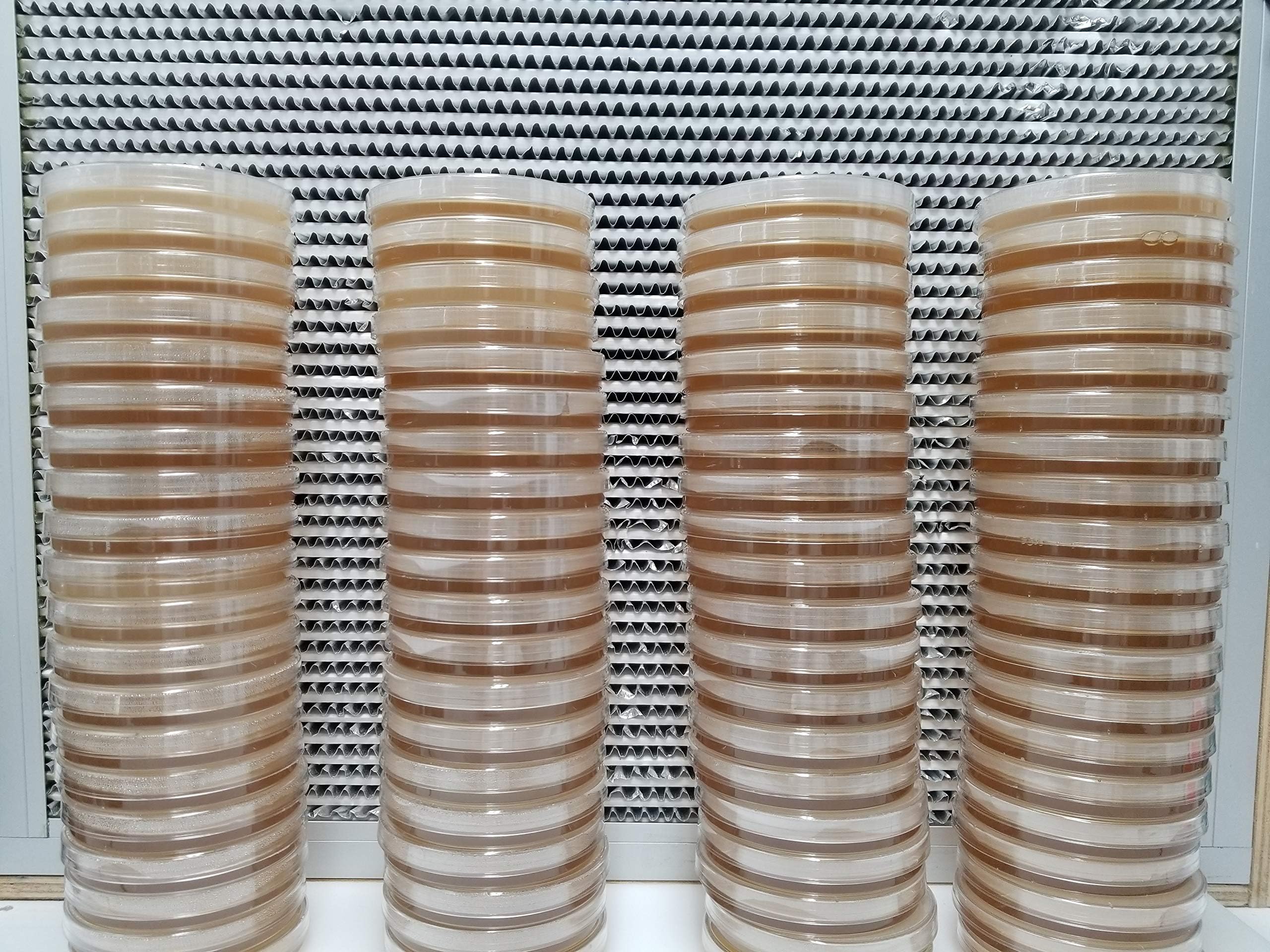 Forest Organics 100 Malt Extract Agar 100 X 15mm Sterilized Petri Dish (MYA)