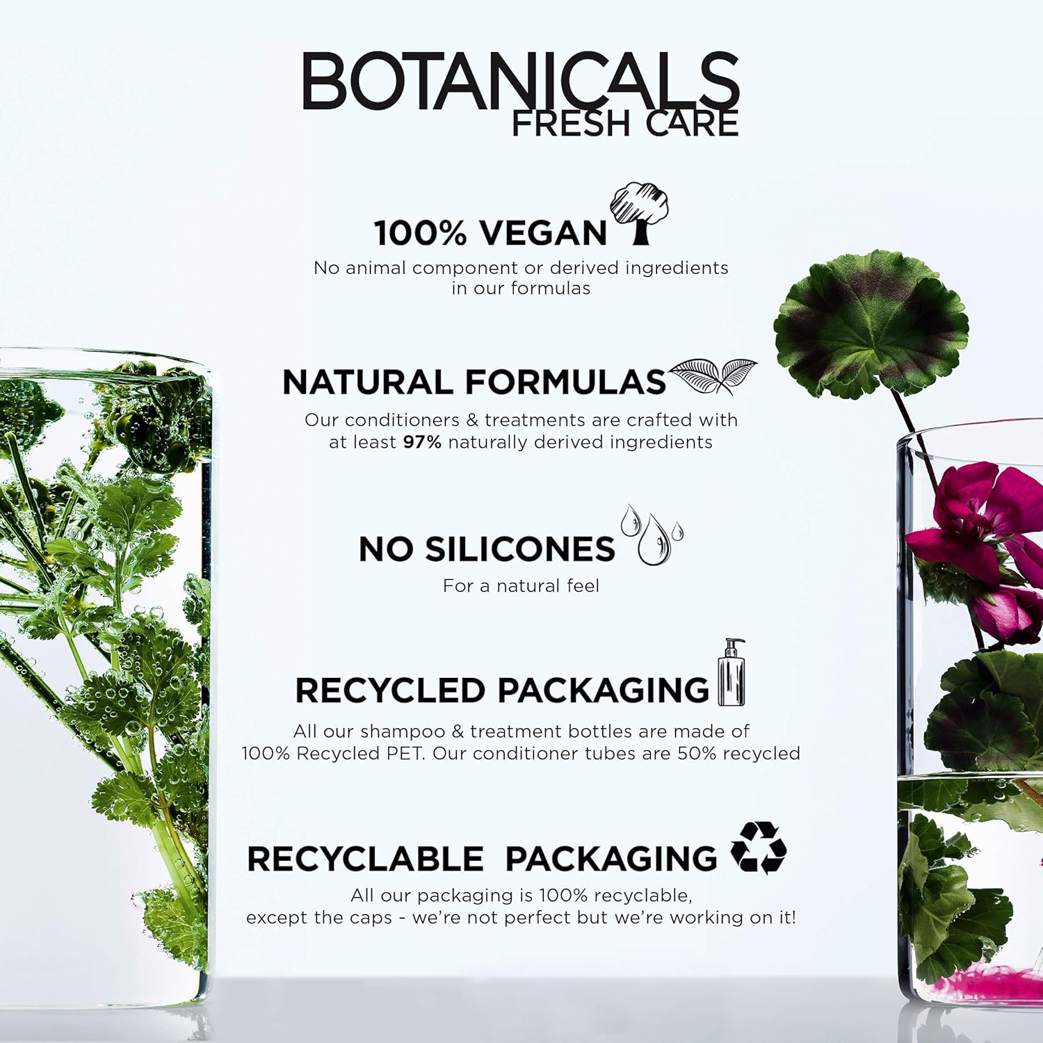 L'Oreal Botanicals Arnica Damaged Hair Repairing Vegan Conditioner 200ml, 725 ml (Pack of 1) - Image 4
