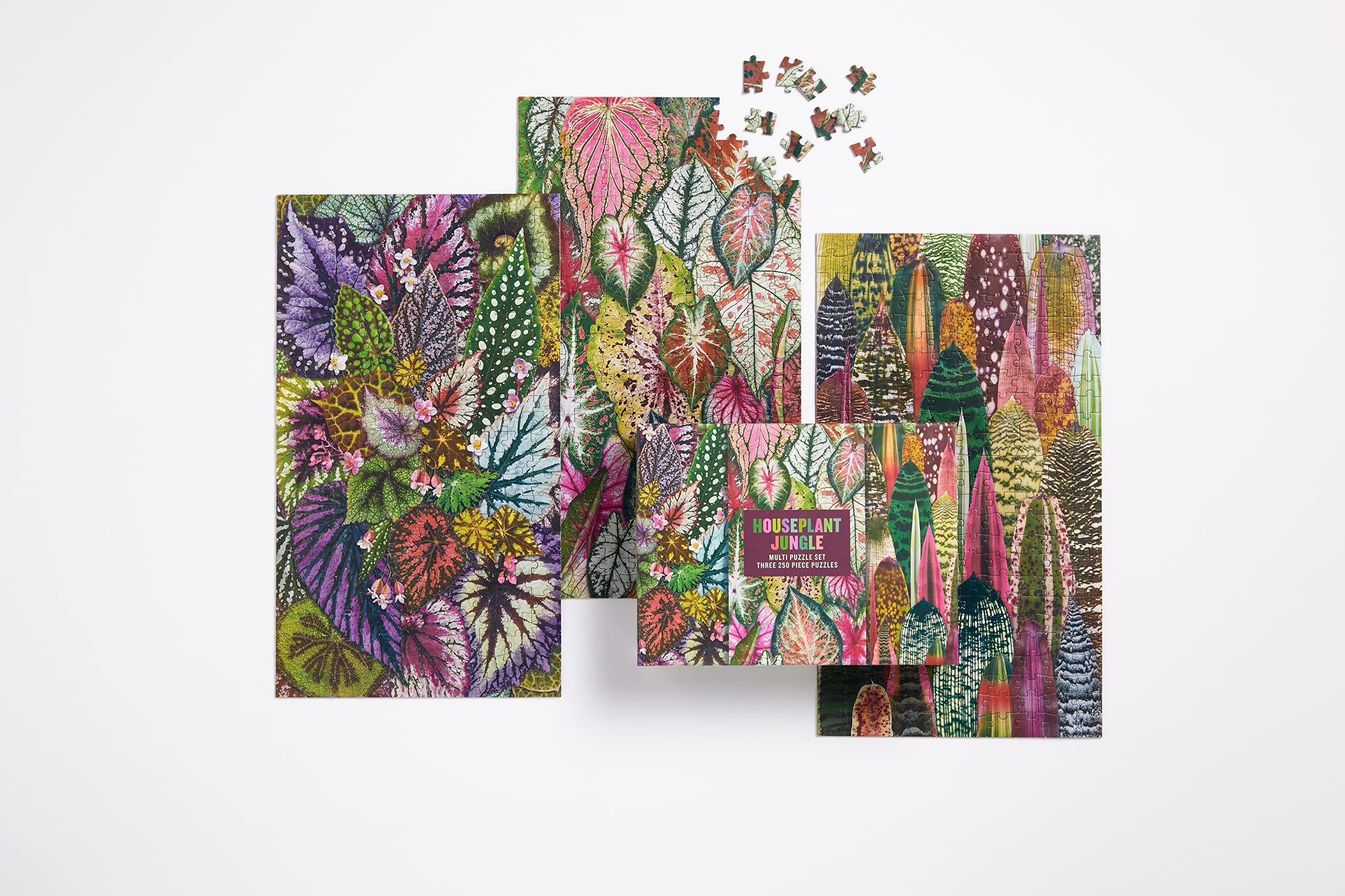 Galison Houseplant Jungle Multi Puzzle Set from Galison - Includes Three 250 Piece Puzzles Featuring Botanical Photographs from Troy Litten, Thick and Sturdy Pieces, Fun and Challenging Activity