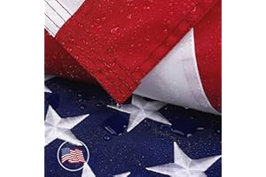 DANF FLAG American Flag 3x5 Ft for Outside, Heavy Duty Nylon US Flags for High Wind Outdoor, Fade Resistant and Waterproof USA Flag with Embroidered Stars, Sewn Stripes, Brass Grommets