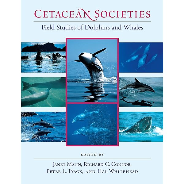 洋書 Individual Recognition of Cetaceans Individual Recognition of Cetaceans 洋書
