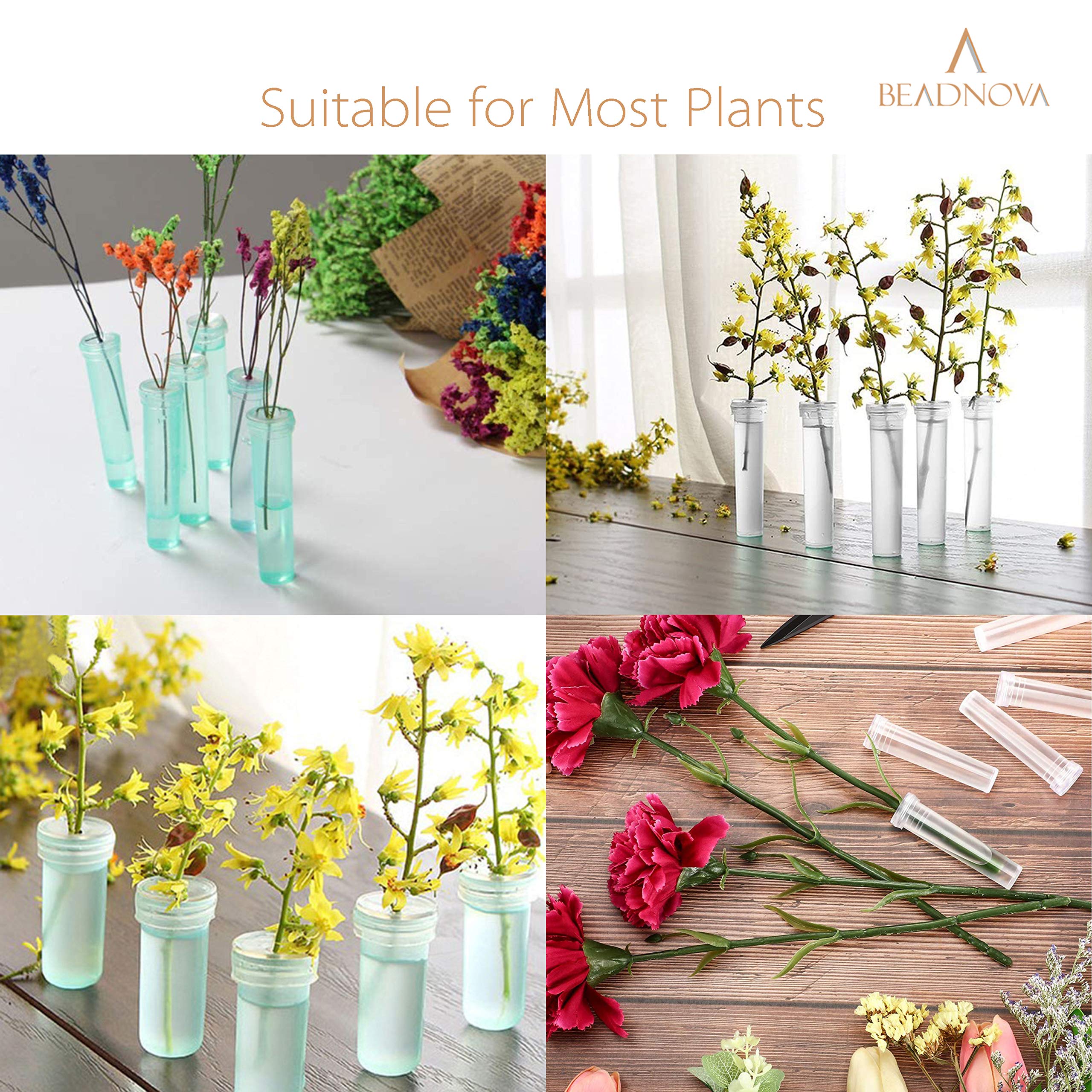 BEADNOVA Floral Water Tubes 2.8 Inch Plastic Water Tubes for Floral Flower Vials with Caps for Flower Arrangement Decoration (Clear, 20 Pcs)