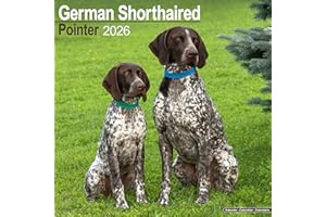 German ShortHaired Pointer 2026 Calendar | Square Wall Calendar | Dog Breed Gift | Plastic Free Packaging | by Avonside Publishing