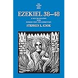 Ezekiel 38-48: A New Translation with Introduction and Commentary (The Anchor Yale Bible Commentaries)