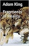 Fragments of Reality