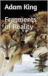 Fragments of Reality