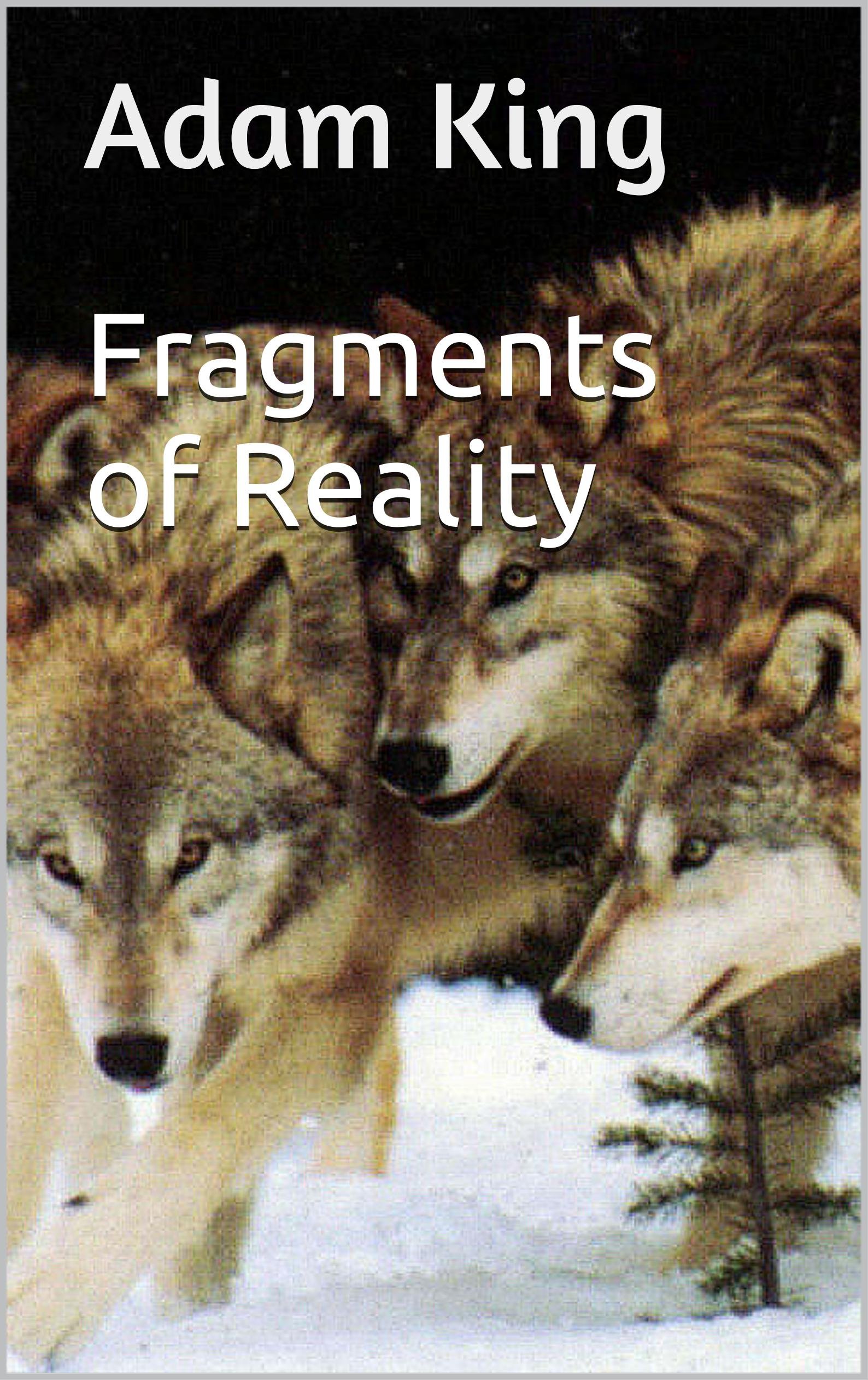 Fragments of Reality