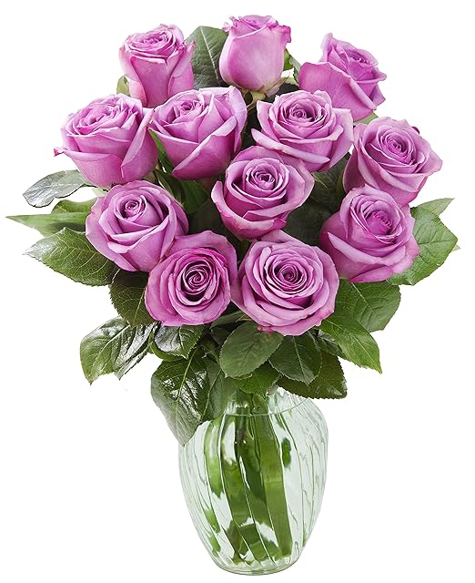 KaBloom Bouquet of 12 Fresh Cut Purple Roses (Long Stemmed) with Vase