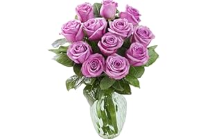KaBloom PRIME NEXT DAY DELIVERY - Summer Collection - Bouquet of 12 Fresh Purple Roses with Vase.Gift for Birthday, Anniversary, Get Well, Thank You, Valentine, Mother’s Day Fresh Flowers