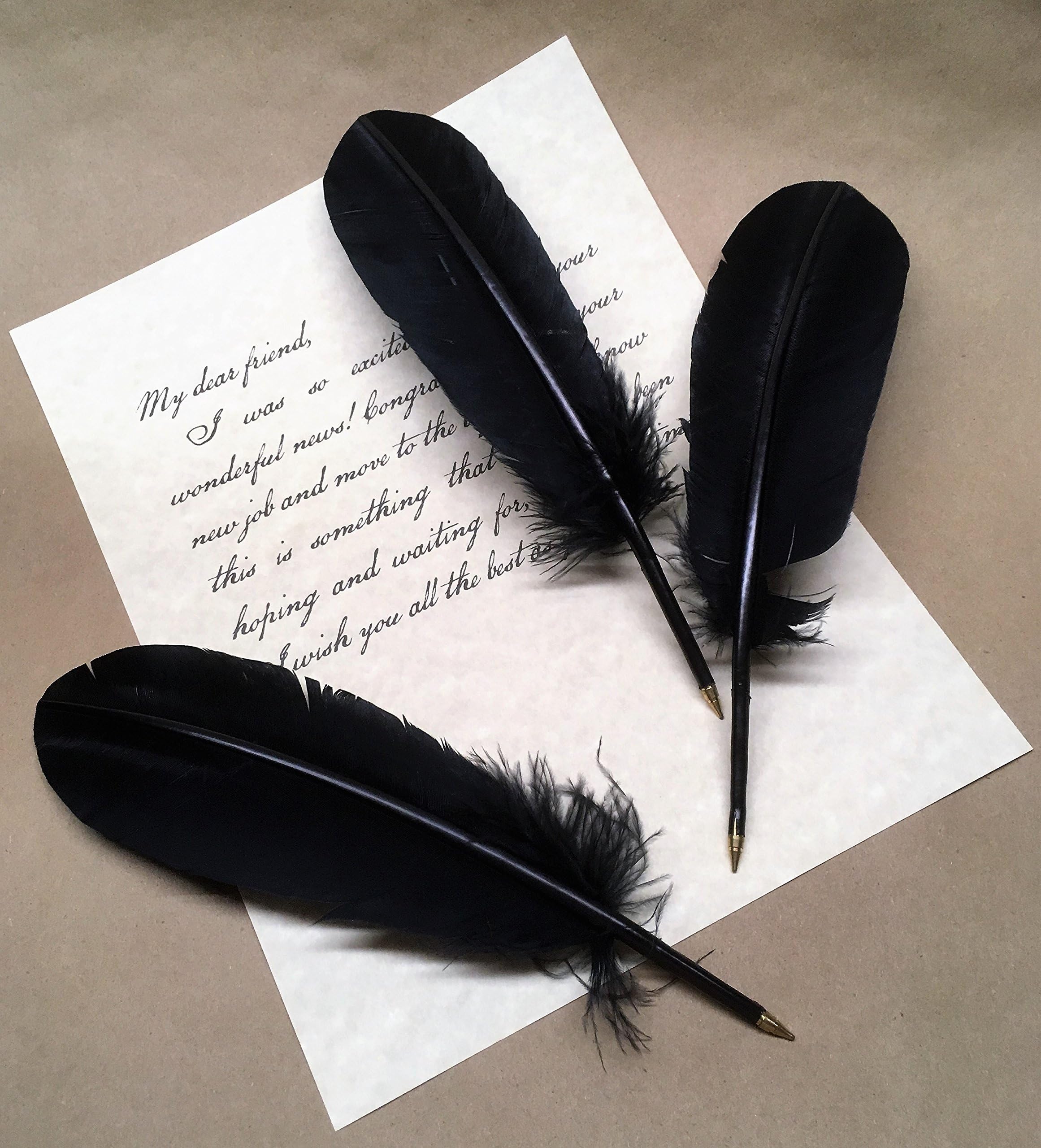 Figments Studio Vintage Collection Black Ballpoint Feather Pen, Pack of 3