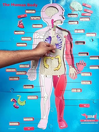 human body floor puzzle