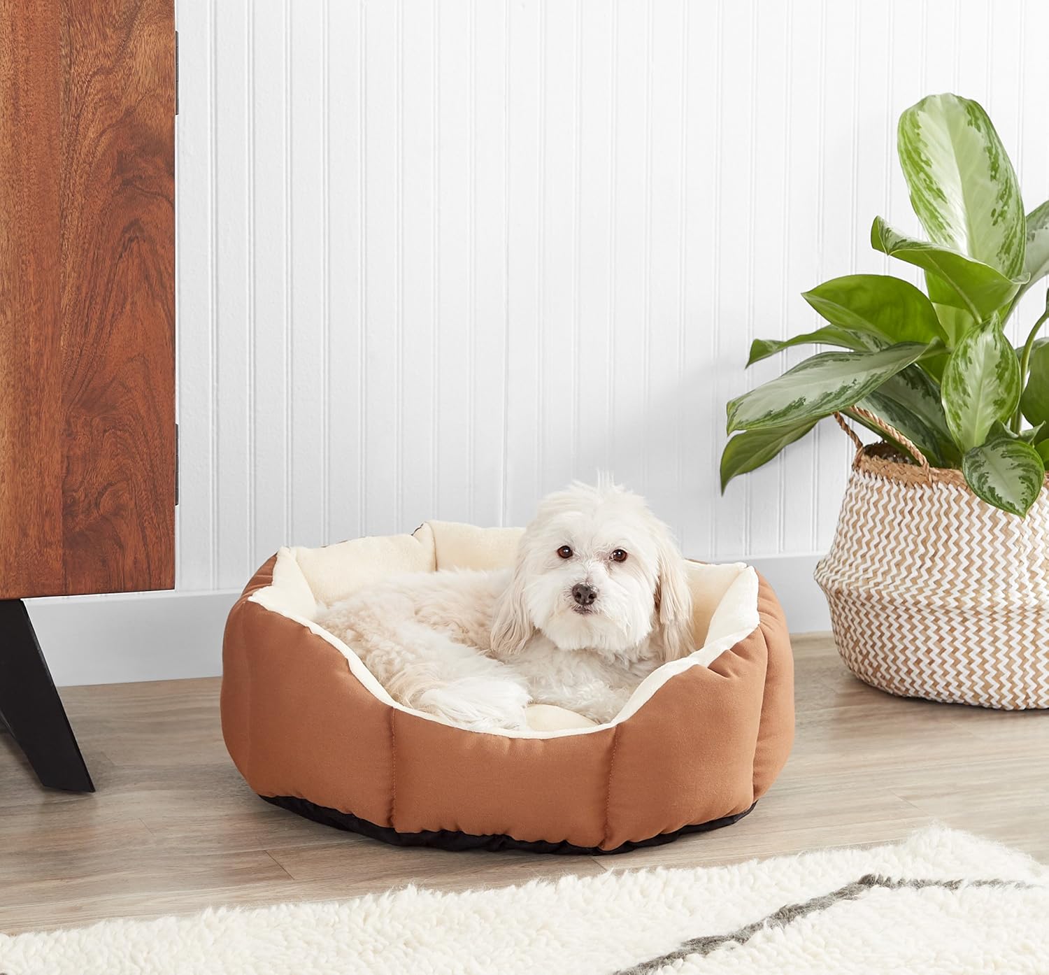 Basics Octagon Pet Bed, 20 Inch, Brown : Pet Supplies
