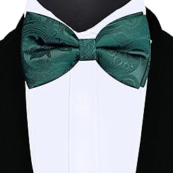 GUSLESON Mens Paisley Dark Green Suit Vest Tie and