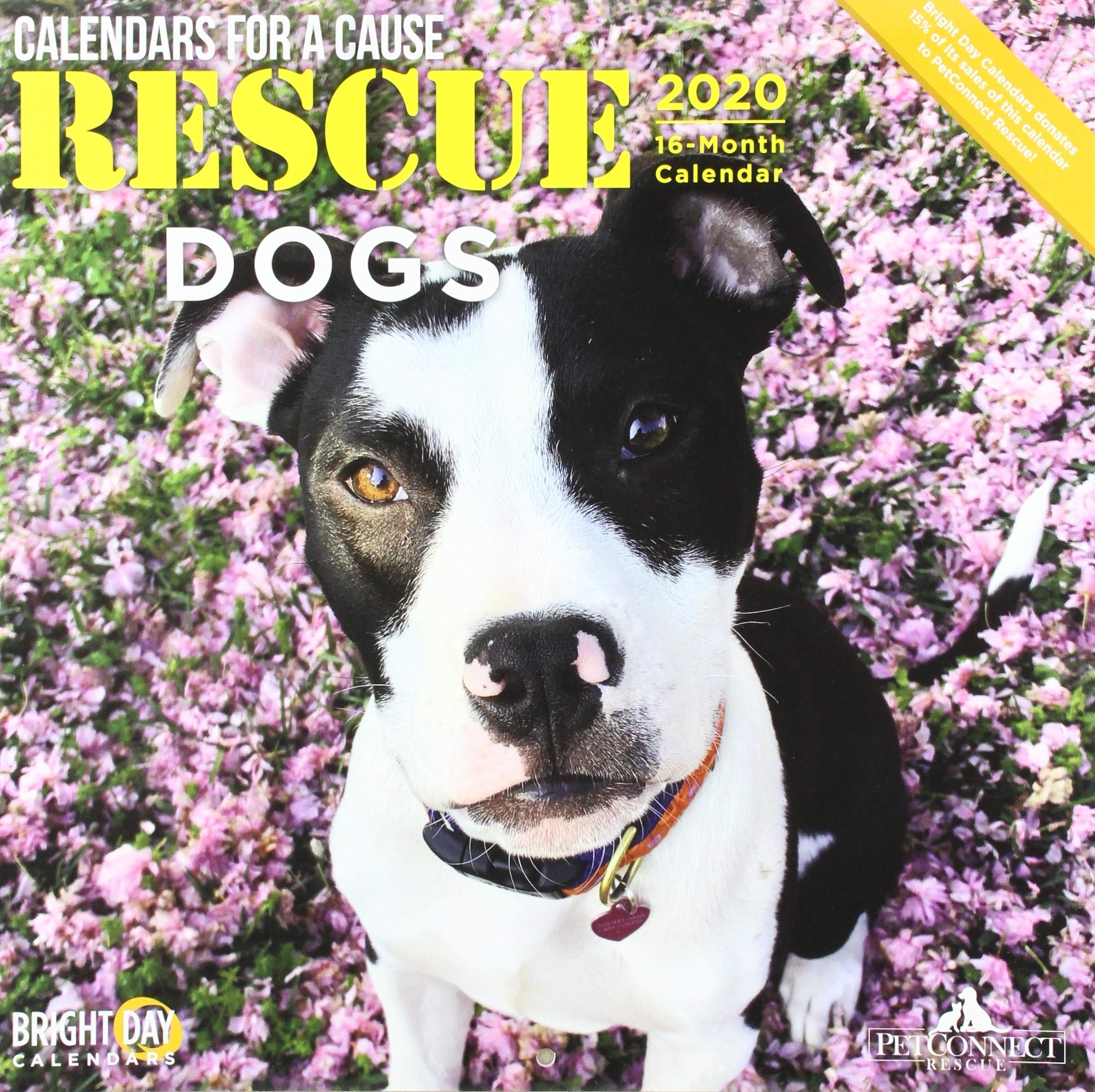 Rescue Dogs Wall Calendar 2020 | Pricepulse
