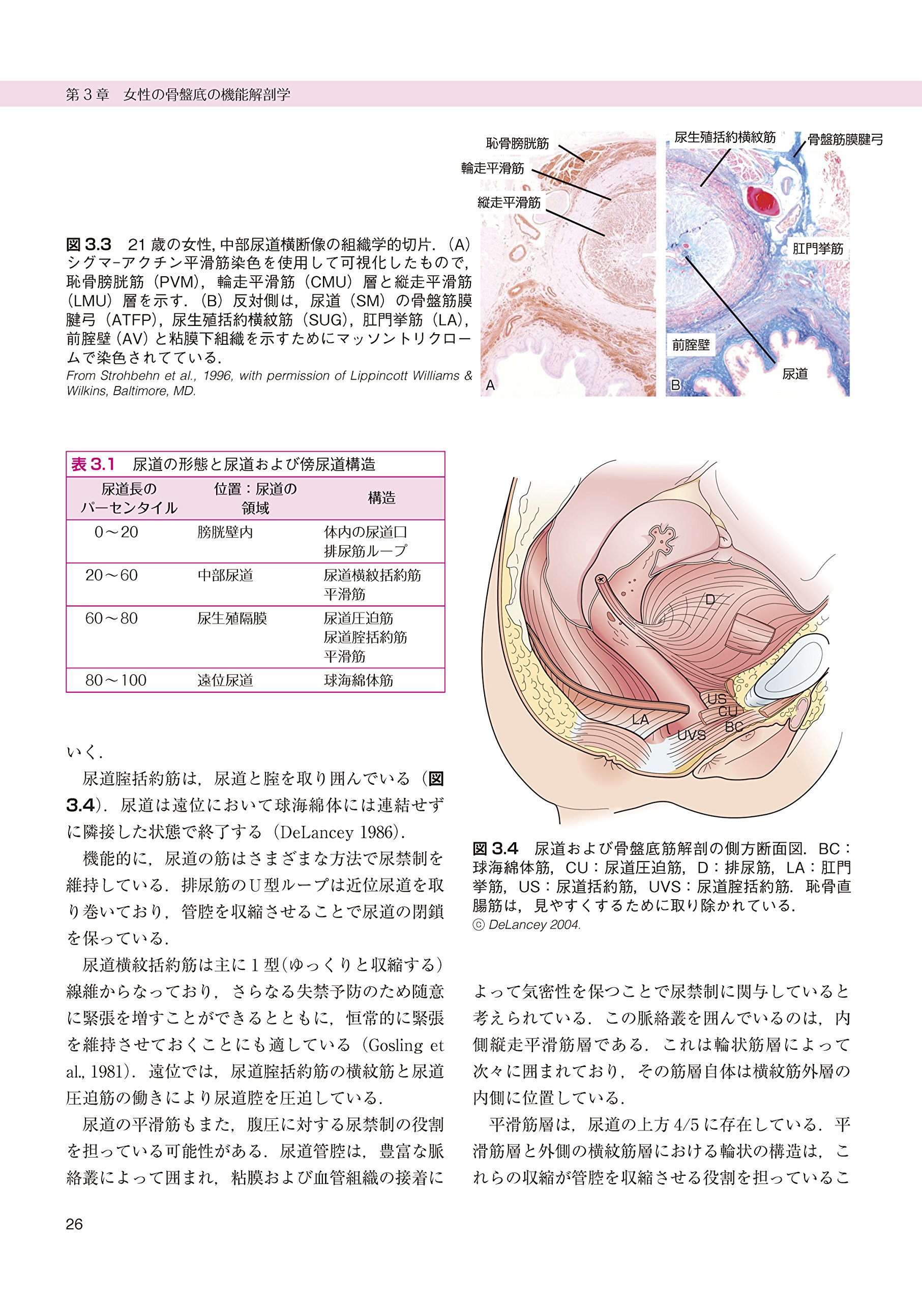 エビデンスに基づく骨盤底の理学療法 原著第2版 科学と臨床をつなぐ Amazon Com Books