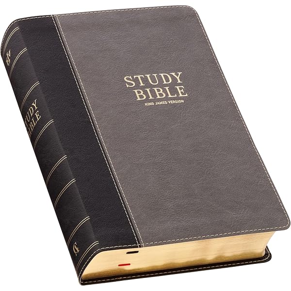 KJV Study Bible, Large Print King James Version Holy Bible, Thumb