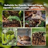 PawHut Glass Reptile Terrarium Medium 50x30x25cm with Thermometer view 6