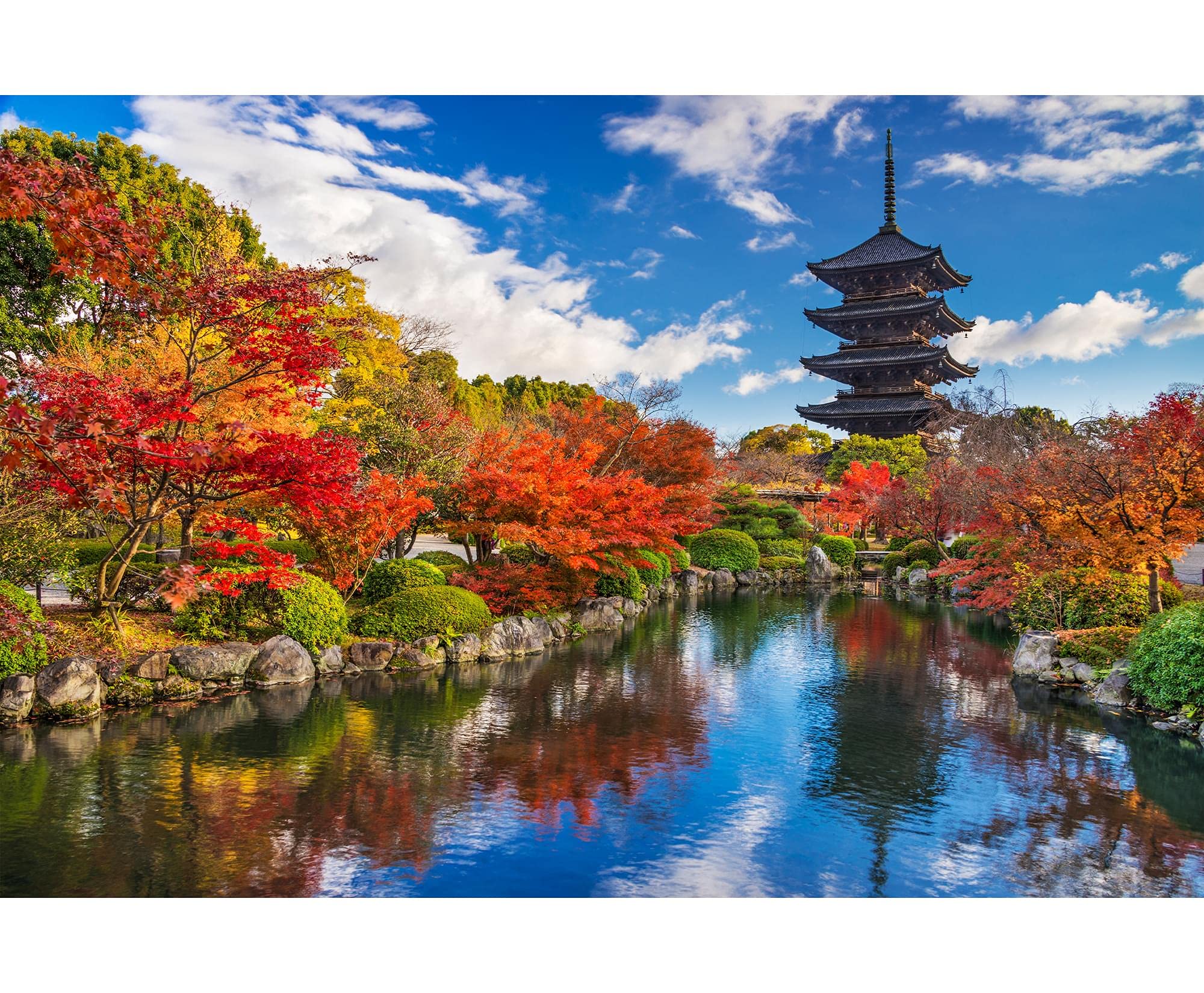 Toji Pagoda Buddhist Temple 1000 Piece Jigsaw Puzzle