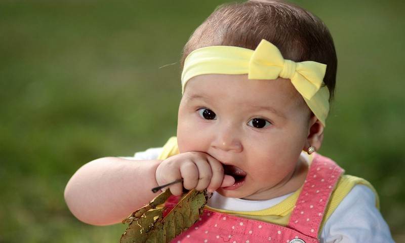 Cookonthego - //medicalbooks.filipinodoctors.org