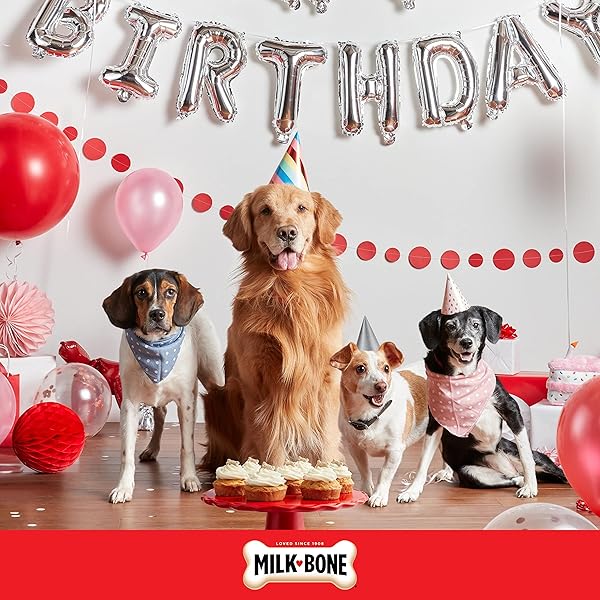 MILK-BONE CELEBRATE BIRTHDAY CAKE ARTIFICIALLY FLAVORED BISCUITS, SMALL DOG TREATS, 8 OZ. BAG