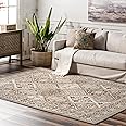 Amazon.com: nuLOOM 8x10 Becca Traditional Tiled Area Rug, Taupe, Faded ...