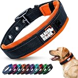 Black Rhino Heavy-Duty Dog Collar Reflective Neoprene Padded Medium Orange/Black