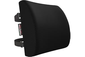 FORTEM Lumbar Support Cushion, Back Support for Office Chair and Car Seat, Back Rest for Gaming Chair, Memory Foam Pillow, Desk Chair Cushion, Breathable & Washable Cover, Adjustable Straps