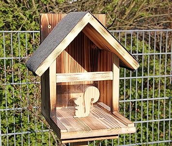 Eichhornchenfutterhaus Ei Futterhaus 2 Eichhornchen Haus Xxxl