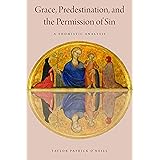 Grace, Predestination, and the Permission of Sin: A Thomistic Analysis