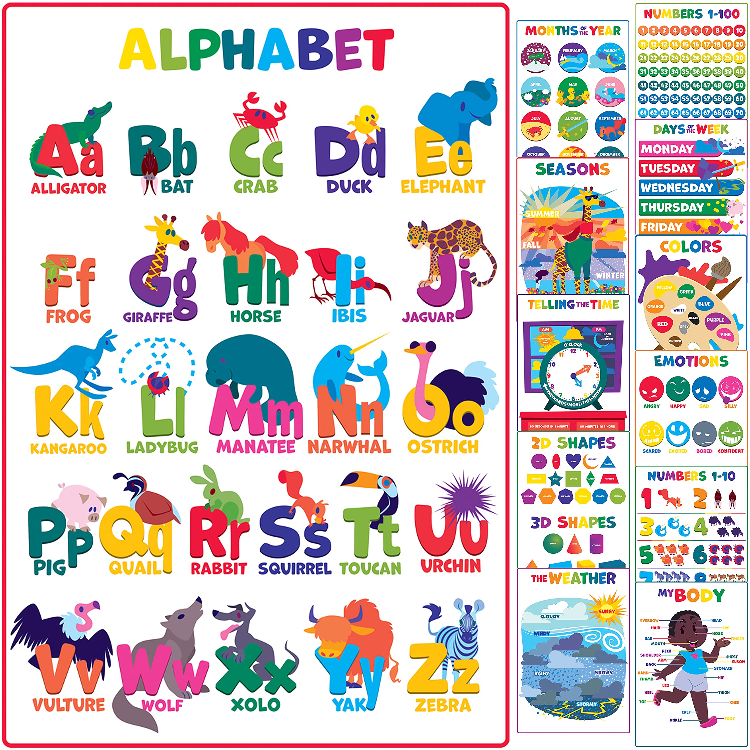 Youngever 12 Pack Laminated Educational Preschool Posters for Toddlers and Kids, Learning Posters, Classroom Posters, Teaching Posters, Alphabet ABC Posters (55CM x 43CM)