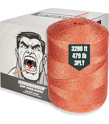 a/tan 1928-5v-brz.jpg