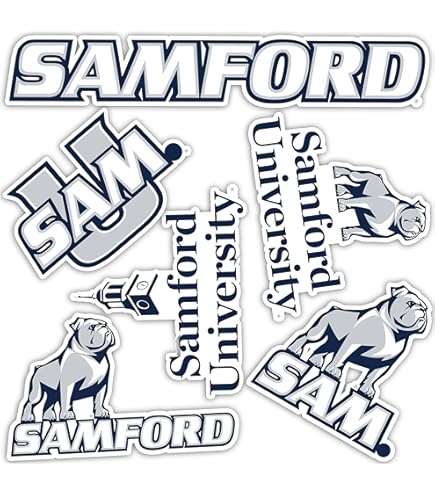 Desert Cactus South Carolina State University SCSU Bulldogs Car Accessories Metal...